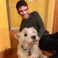 Dvir Reif (@dvirreif) 's Twitter Profile