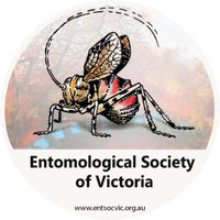 Entomological Society of Victoria 🐛🐜🦟🐞🕷️🦗(@EntSocVic) 's Twitter Profile Photo