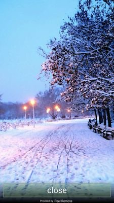 candata74715122's profile picture. 