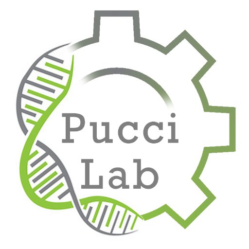 Ferdinando Pucci's Lab