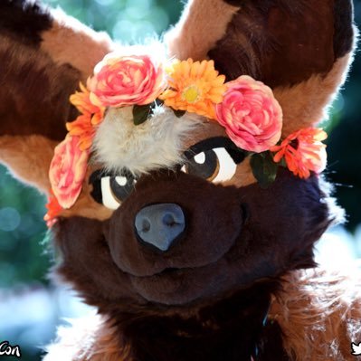 This is for my Fursuit Kahlua! main account @kahluaespresso