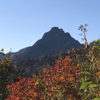 のやまかける (@14trailrunner) 's Twitter Profile
