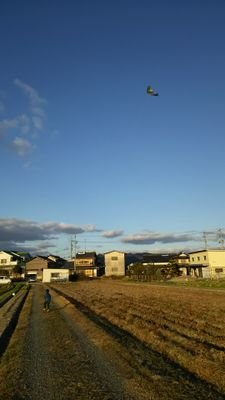 CqYklM2SOQl0Q7R's profile picture. レノファ山口📣競馬🐎