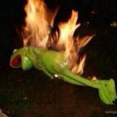 frees_bees's profile picture. 