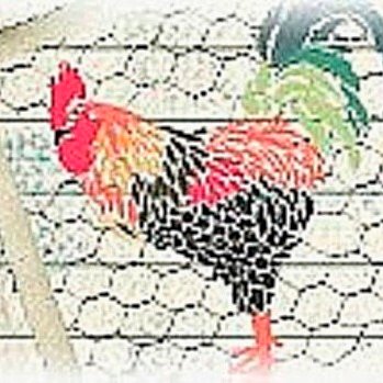 We sell original Vintage Sewing Patterns from the 1930s to 1990s + notions.