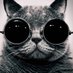 cinggaro® (@cinggaro) Twitter profile photo cinggaro® (@cinggaro) Twitter profile photo