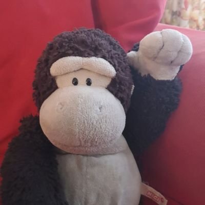 realMrGorilla Profile Picture