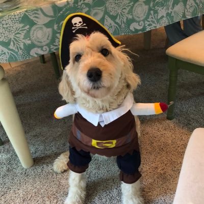 DavidCa50771806's profile picture. 