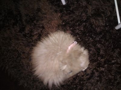 selimozisik33's profile picture. 