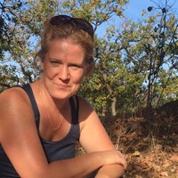 Irene van der steen (@steenirene) 's Twitter Profile