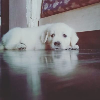 Eccedentesia_st's profile picture. 😎