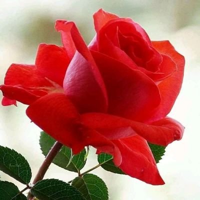 فرد خاص .ی نیستم ولی از خاصان خدا(ج) خوشم میاد