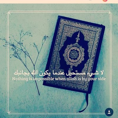 ‏‏‏احب الحيوانات موت 💖💖
واكره الي ياذيها💔