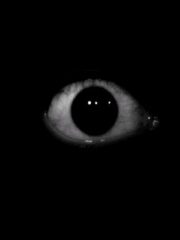 Absolutely LOVE horror. Horror movies, stories. Scary stuff in general