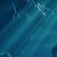 s (@k_a_k_e_r_u_ua) 's Twitter Profile