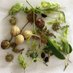 EcologyMindedChippenham 🍃💚🍃🐾🦗🕸🐛🐝🐌🦇🦉🦡🚲 (@ecologyminded) Twitter profile photo EcologyMindedChippenham 🍃💚🍃🐾🦗🕸🐛🐝🐌🦇🦉🦡🚲 (@ecologyminded) Twitter profile photo