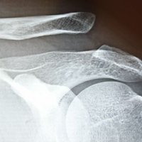 metasato (@_metasato) 's Twitter Profile Photo