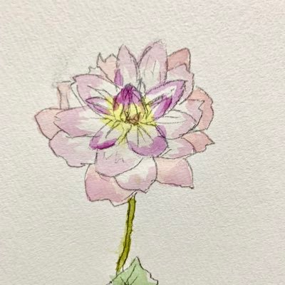 ぬさんのプロフィール画像