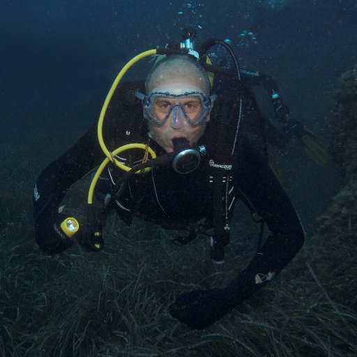 Ricardo León, Research staff, Marine Geology, defender of art, nature and lost causes @IGME1849