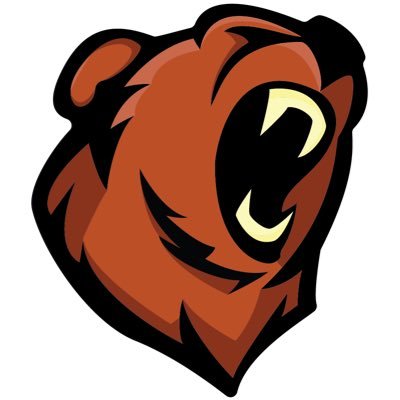Tensorr_'s profile picture. I play minecraft lol