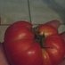 Chuco Town Farm (@chucofarm) Twitter profile photo Chuco Town Farm (@chucofarm) Twitter profile photo