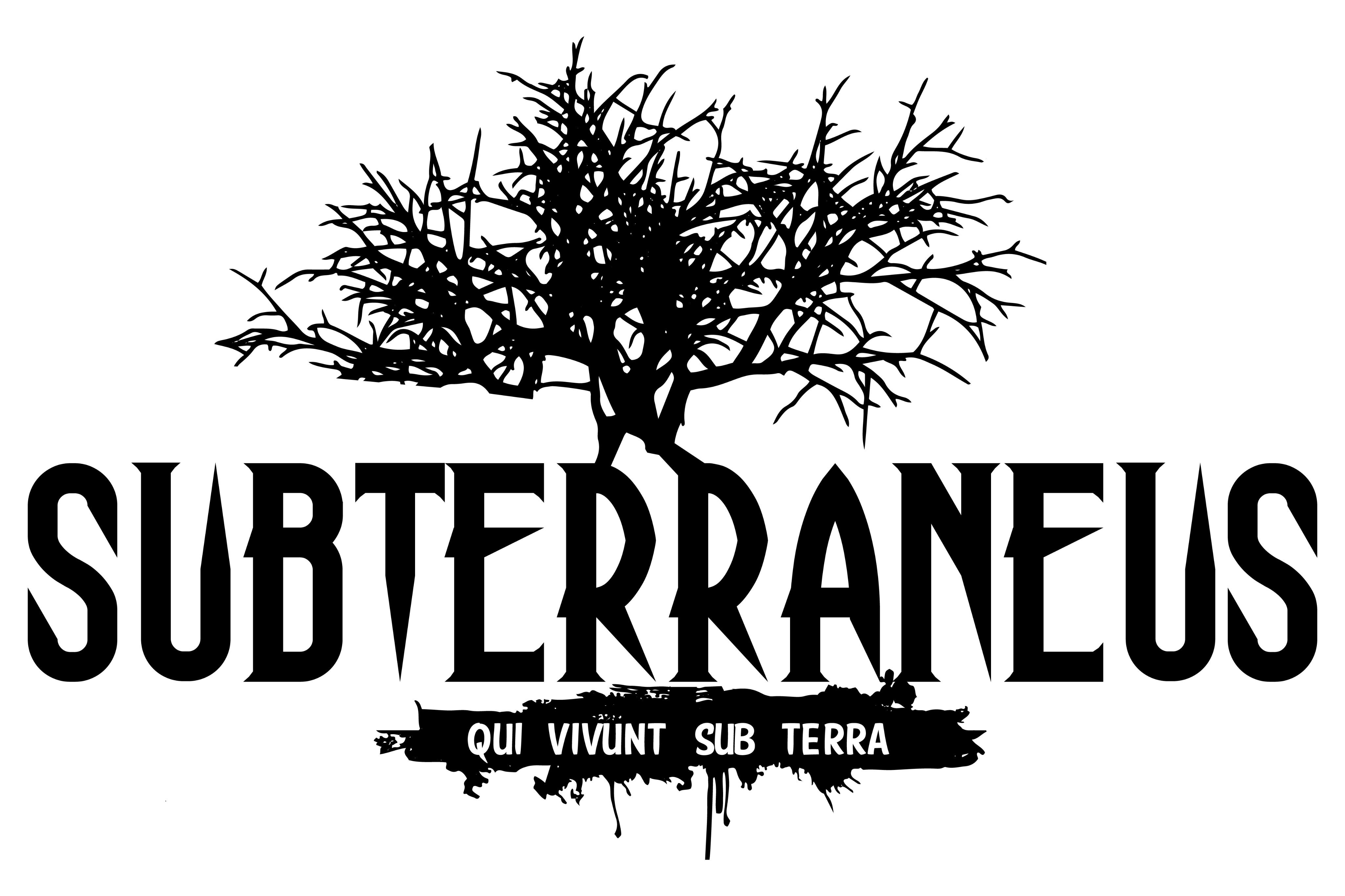 Subterraneus2's profile picture. National underground constructions company.