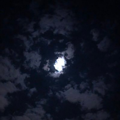 stang1140's profile picture. 