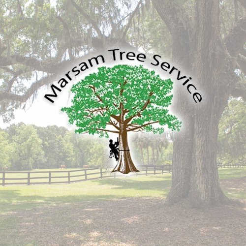 MarsamTree's profile picture. Marsam Tree Service is a Tree Care Company in Arden, NC. We offer Tree Care, Stump Removal, Tree Topping and more.