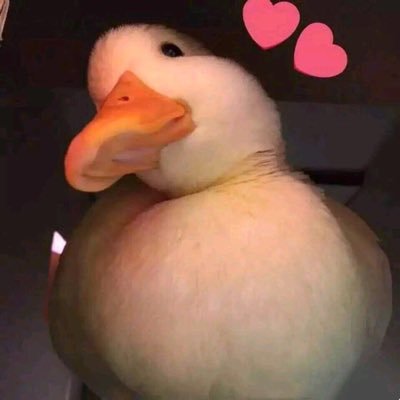 WAsjZgaKLb6iCb0's profile picture. 我没啥特殊的呀