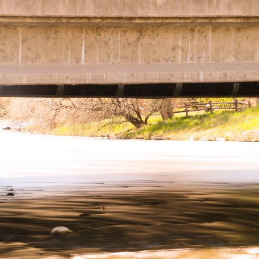 TreesRLifee's profile picture. We must save the trees as they are what make us breath beautiful clean air and are directly responsible for our beautiful wildlife all over the world.#SaveTrees