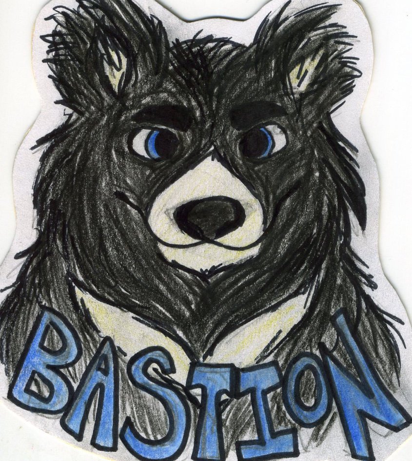 bastionbear1's profile picture. non-binary furry that will never say anything interesting ever.
im an Adult