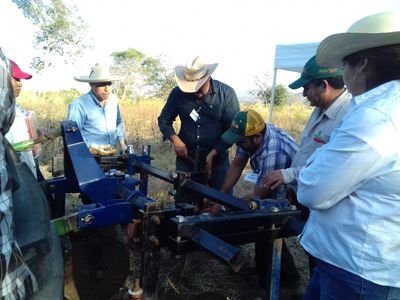 EverGuillenRam1's profile picture. Mi amor ala agricultura