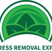 Mattress Removal Express(@RemovalMattress) 's Twitter Profile Photo