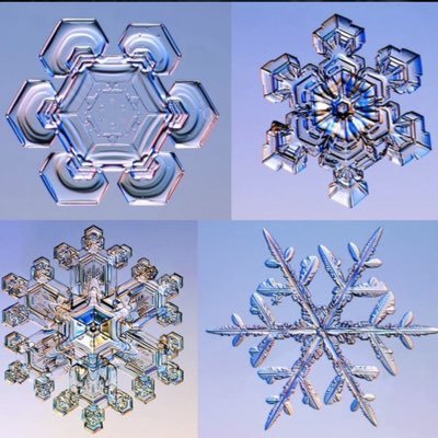 riwkrewk's profile picture. Entrepreneurship, At the start of the resistance.