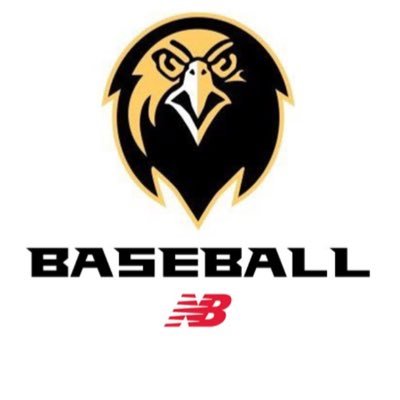 Official Twitter of Pfeiffer University Baseball. Member of USA South Conference. NCAA DIII. 2019 ECAC CHAMPS.