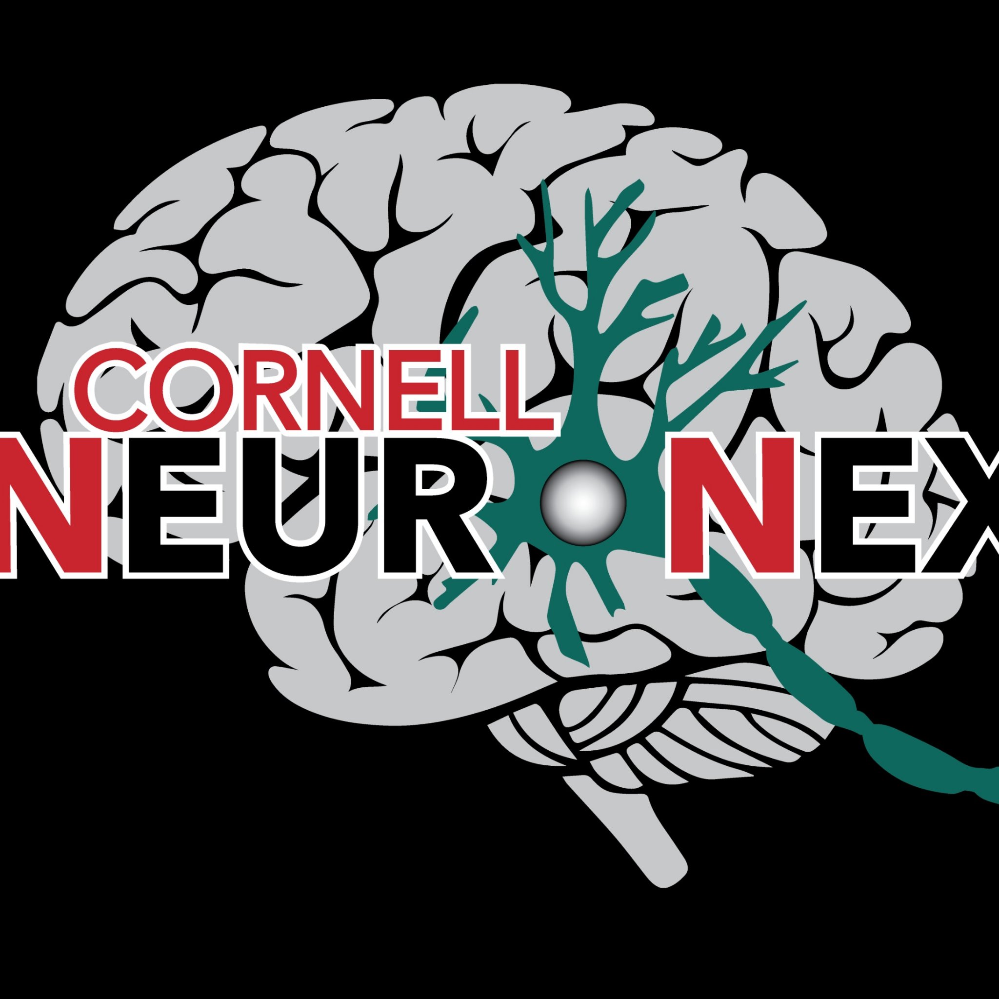 Cornell NeuroNex Technology Hub