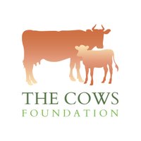 contact@thecowsfoundation.org(@contactthecows1) 's Twitter Profile Photo
