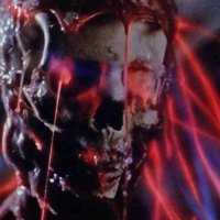 VHS Head (@vhs_head) 's Twitter Profile