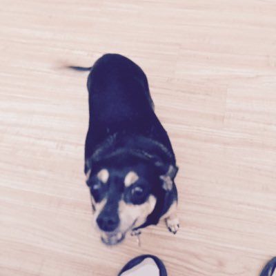 Gloria23886037's profile picture. Animals Games Photography Music Celebrity Rock/Alt