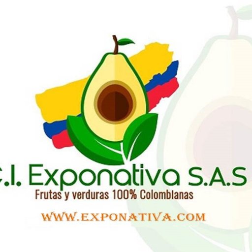 CI. EXPONATIVA SAS, Exporting company of Bananas, avocado hass, golden pineapple, lemon tahiti, Granadilla, among others.
whatsapp: +57 312 8377282
