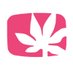 Stichting CannaWijzer (@wesmokenl) Twitter profile photo Stichting CannaWijzer (@wesmokenl) Twitter profile photo