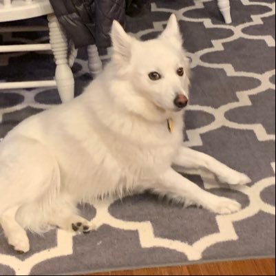 AvaBell40397474's profile picture. 