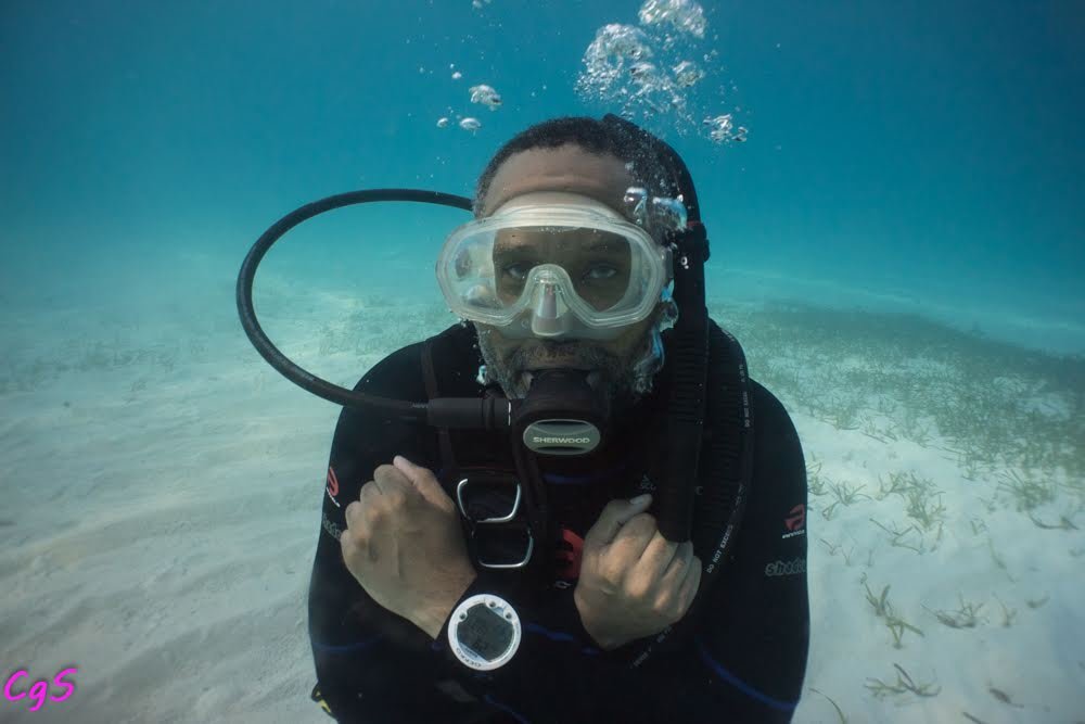 compNbio's profile picture. BIKE::BUILD::DIVE
