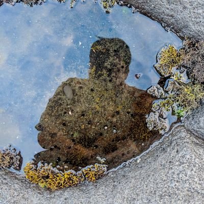 callmedqq's profile picture. I don't know if I'm lost, but I'm wandering!