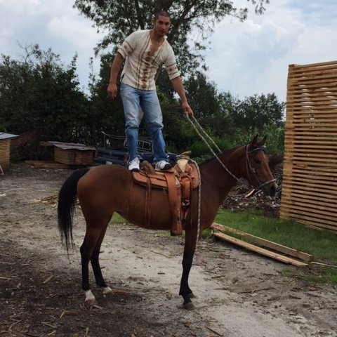 NorbertoPatino3's profile picture. DVM
For Ruminants