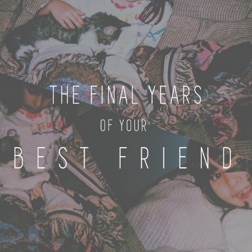 ‘The Final Years of Your Best Friend’ is a documentary focusing on preserving an animal’s life in their senior years and the challenges of saying goodbye.