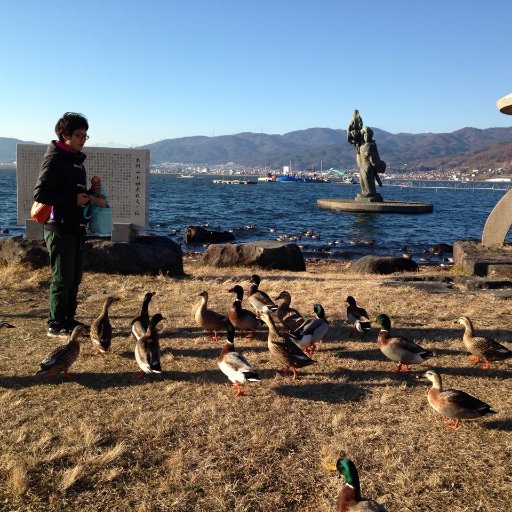 みつばち飼ってます
(このまえ西洋蜜蜂に刺されてアナフィラキシーがでた)

youtubeチャンネル 　フヨダス。見てくれて感謝！
https://t.co/vn8nstKWDj

機材はOM-1 と60mmマクロ, DCR-250, godox_v350o, cygnustech diffuser