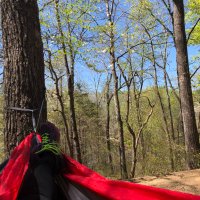 MMitchell (@mks_mitchell) 's Twitter Profile Photo