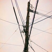 nobody (@saytaro_devour) Twitter profile photo