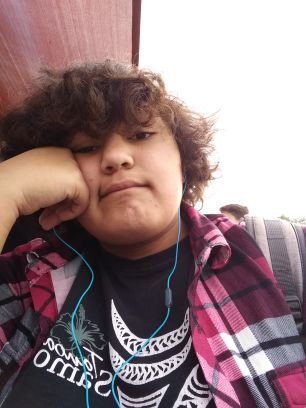 Pama_AloRojas's profile picture. Musician, Music loving, technology loving, Hawaiian pizza lover person. I do stuff any teen would do...Play Fortnite, play games, play more games, study, etc.